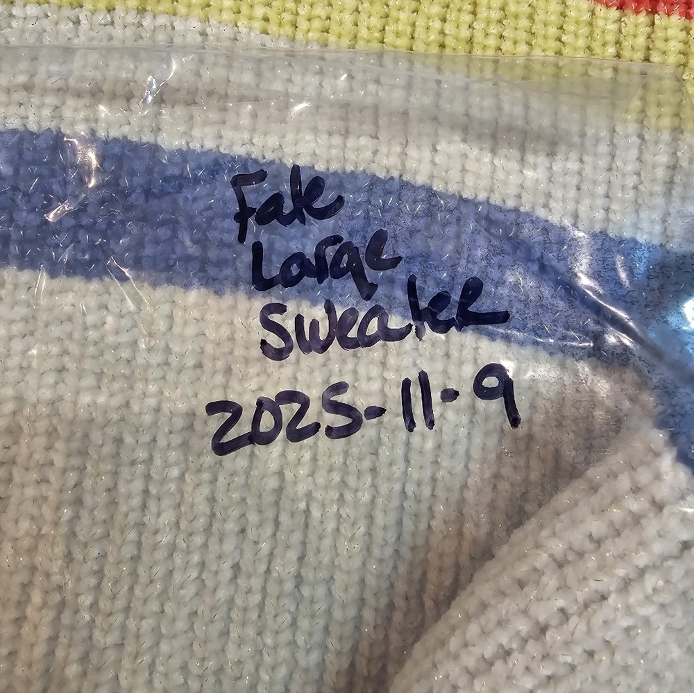 FATE Women’s Striped Chenille Sweater Large Beige Red Yellow Blue Soft Cozy Pull - Picture 8 of 8